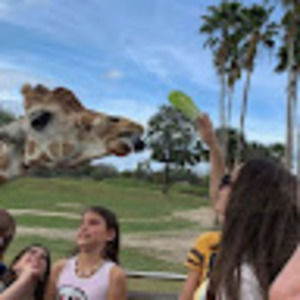 Meet your Posher, Nikolina